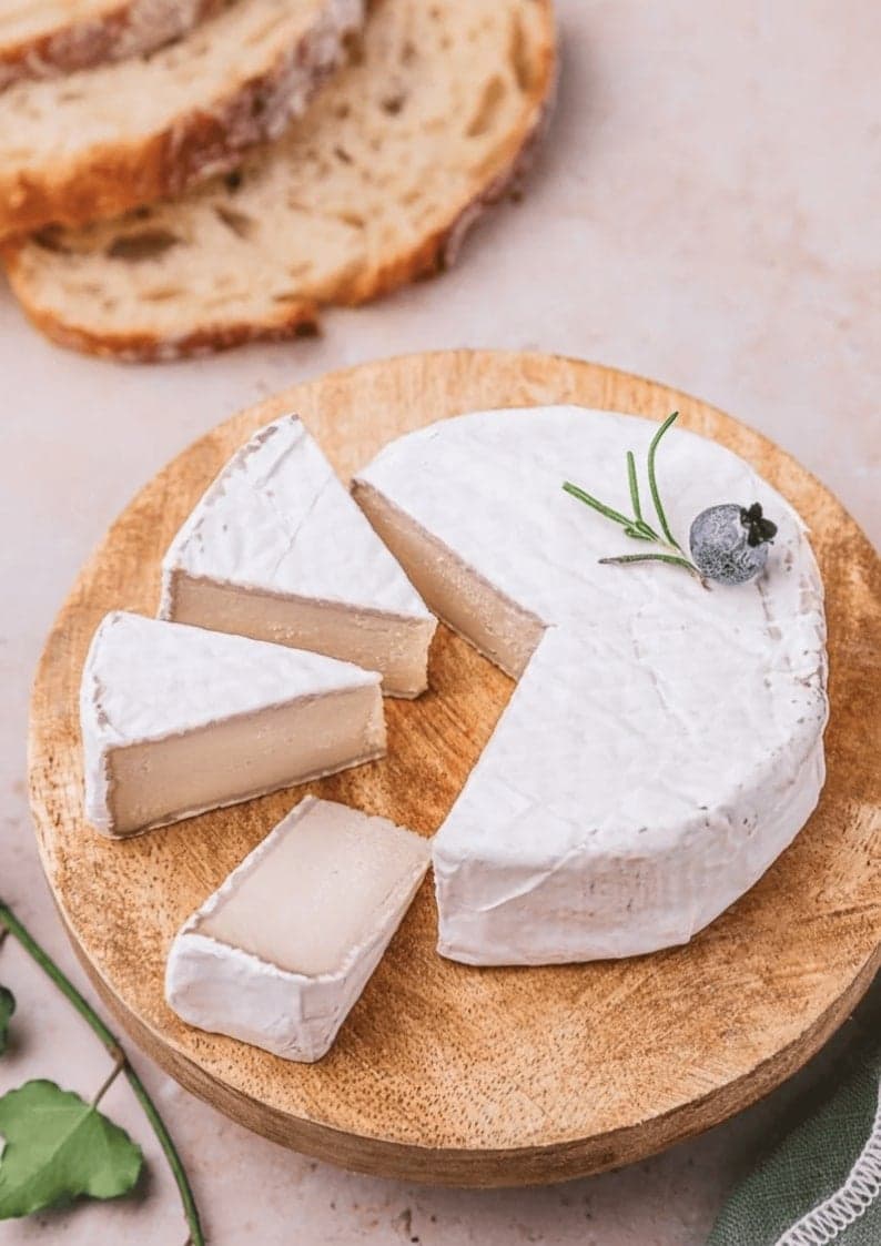 Meilleur fromage vegan : découvrez le guide complet 2026